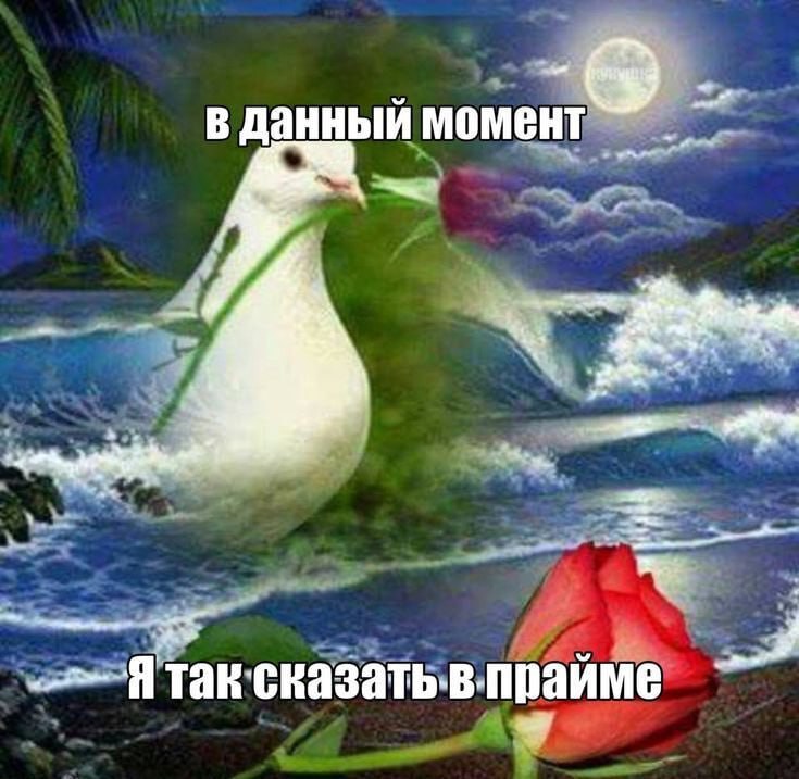 в данный момен Я так прайме