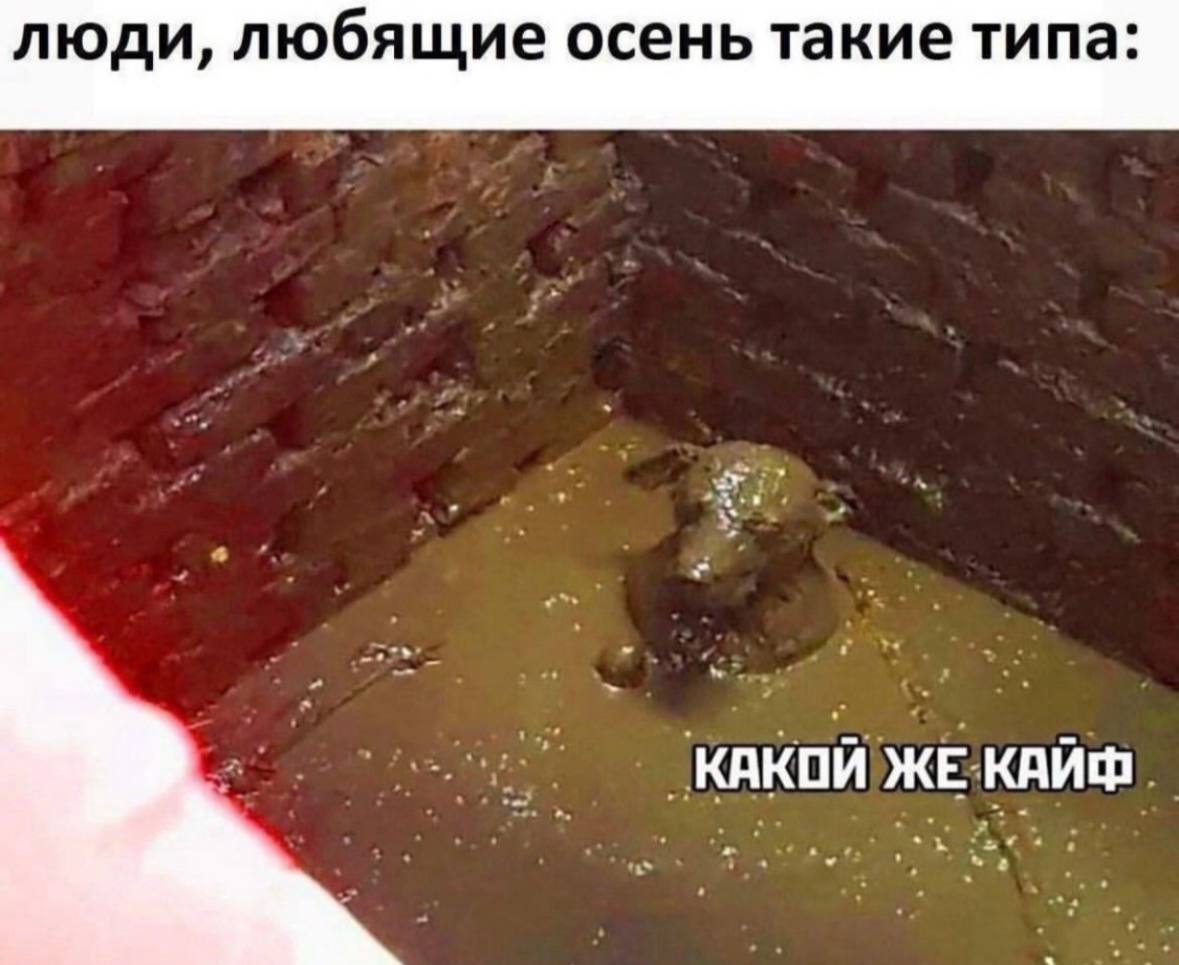 люди, любящие осень такие типа: КАКОЙ ЖЕ КАЙФ