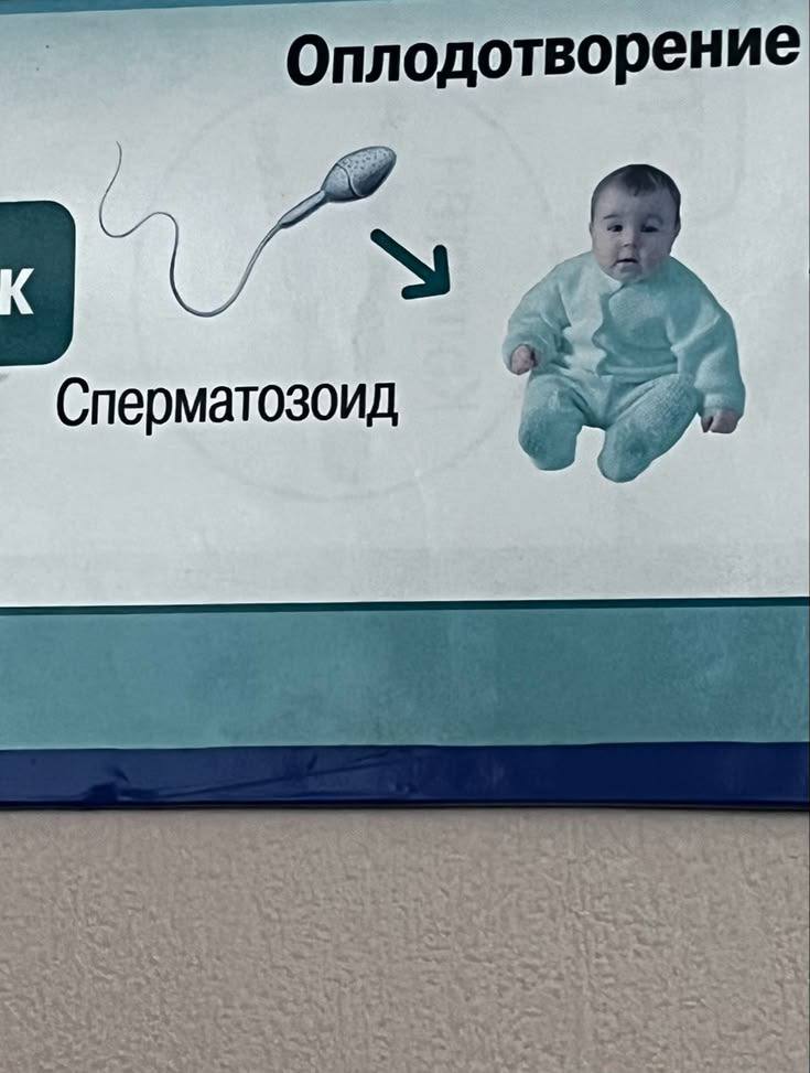 Оплодотворение Сперматозоид 4, у orey A