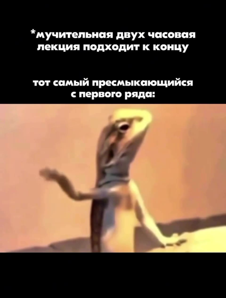 * мучительная двух часовая лекция подходит к концу тот самый пресмыкающийся с первого ряда: