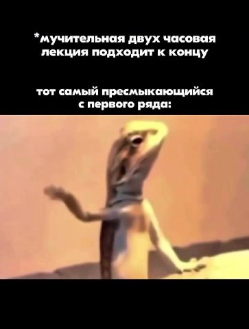 * мучительная двух часовая лекция подходит к концу тот самый пресмыкающийся с первого ряда: