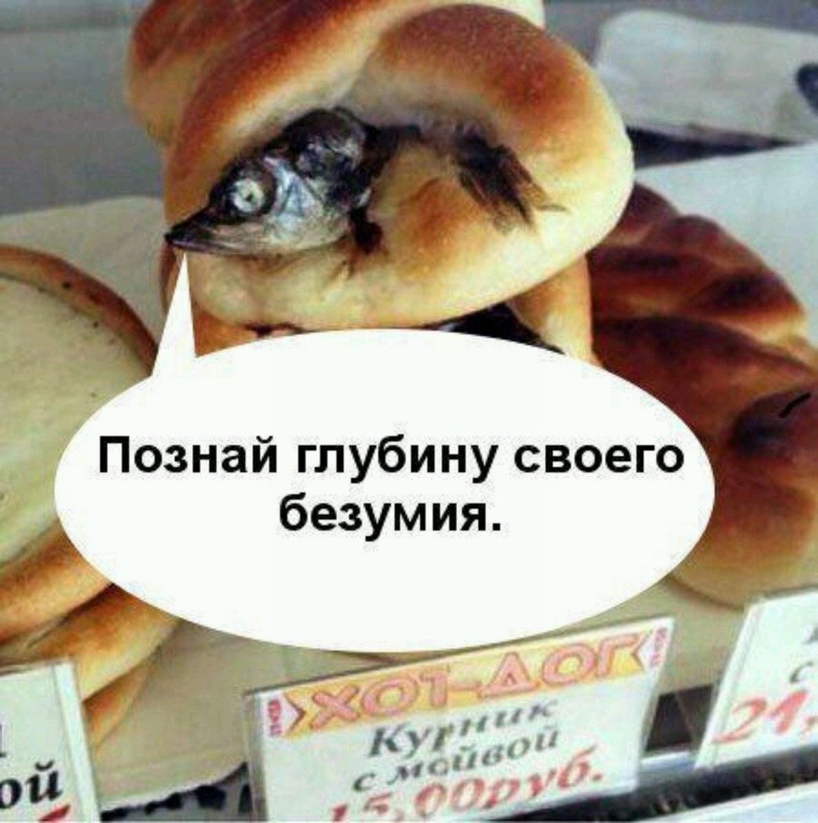 Познай глубину своего безумия.