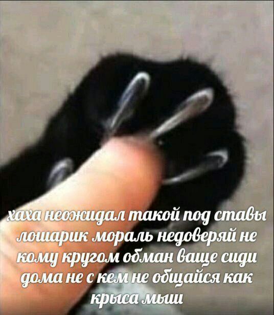 такой под cmabut лошар мораль недоверяй не кому кругом обман ваще сиди дома не с кем.не общайся как крыса мьии