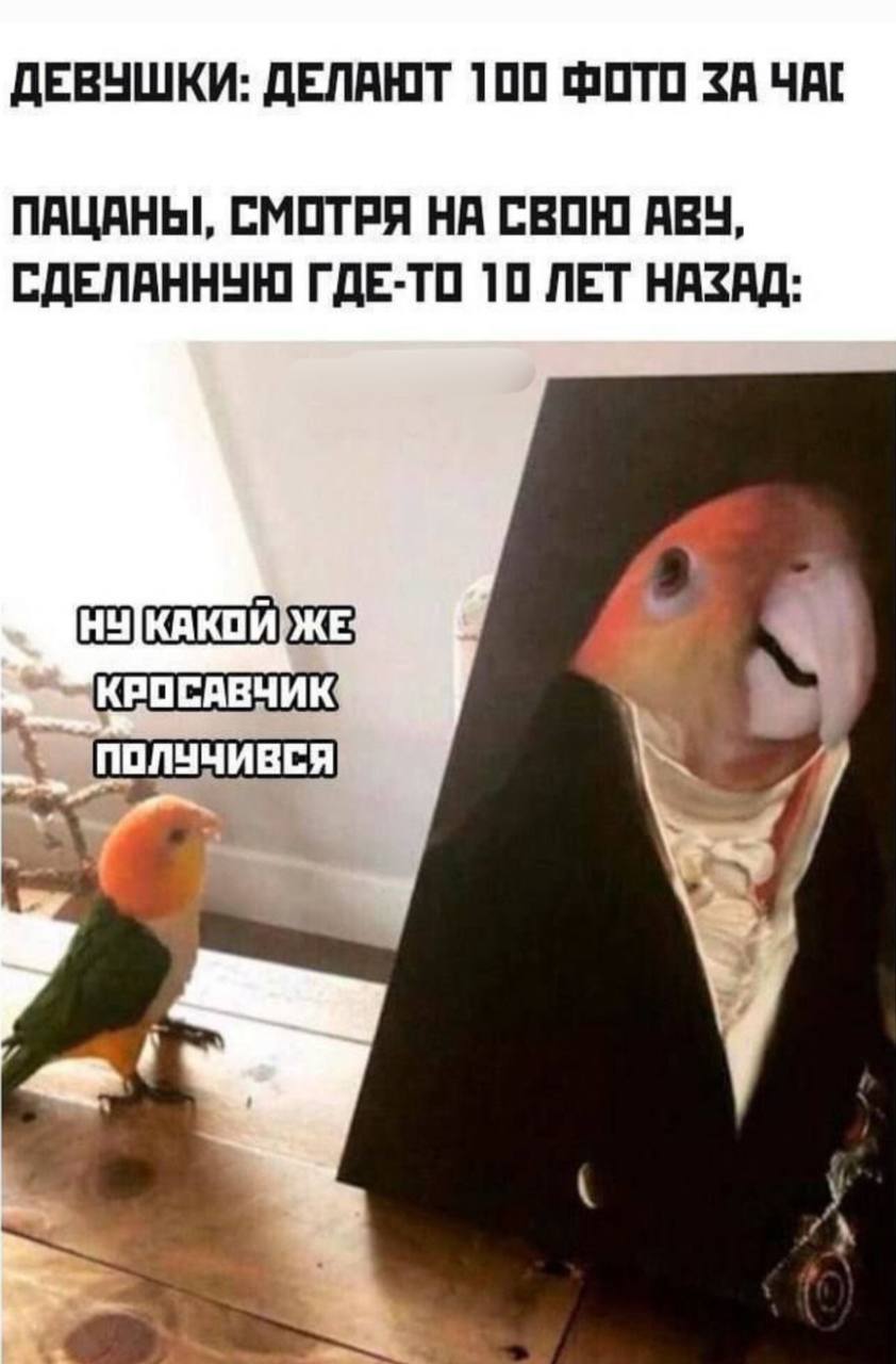 ДЕВУШКИ: ДЕЛАЮТ 100 ФОТО ЗА ЧАГ ПАЦАНЫ, СМОТРЯ НА СВОЮ АВУ, СДЕЛАННУЮ ГДЕ-ТО 10 ЛЕТ НАЗАД: КРОСАВЧИК