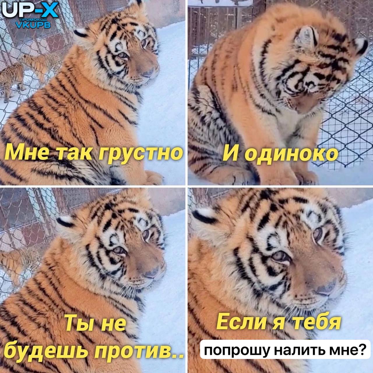 #предложение