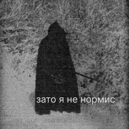 зато я не нормис