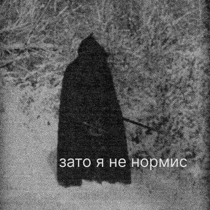 зато я не нормис