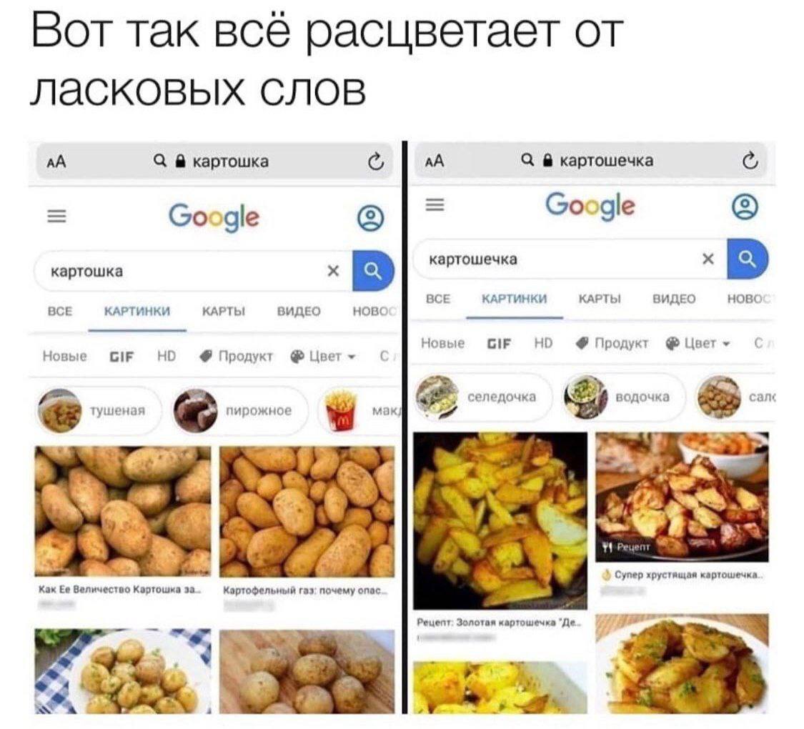 Вот так всё расцветает от ласковых слов картошка картошечка Google Google картошка 5 картошечка BCE КАРТИНКИ КАРТЫ ВИДЕО BCE КАРТИНКИ КАРТЫ ВИДЕО HOBO: Новые GIF Продукт Цвет Новые GIF Продукт Цвет ту