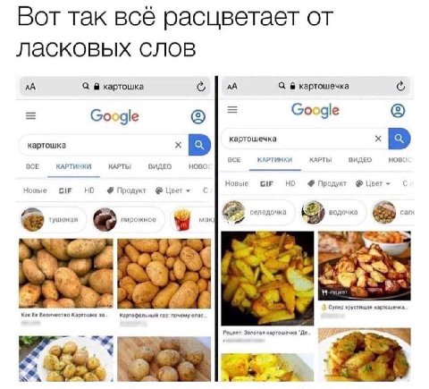 Вот так всё расцветает от ласковых слов картошка картошечка Google Google картошка 5 картошечка BCE КАРТИНКИ КАРТЫ ВИДЕО BCE КАРТИНКИ КАРТЫ ВИДЕО HOBO: Новые GIF Продукт Цвет Новые GIF Продукт Цвет ту