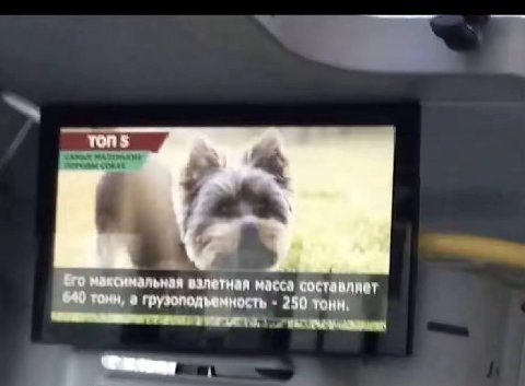Ero максимальная взлетная масса составляет 640 томн, а грузоподъемность 250 тоны,