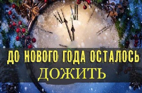 ГОДА ДОЖИТЬ