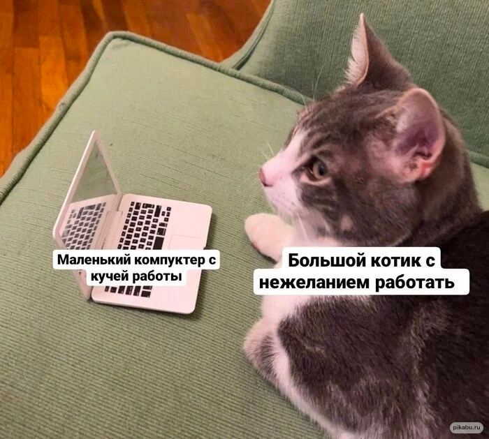 Маленький компуктер с Большой котик с кучей работы нежеланием работать