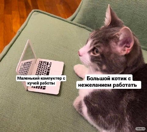 Маленький компуктер с Большой котик с кучей работы нежеланием работать