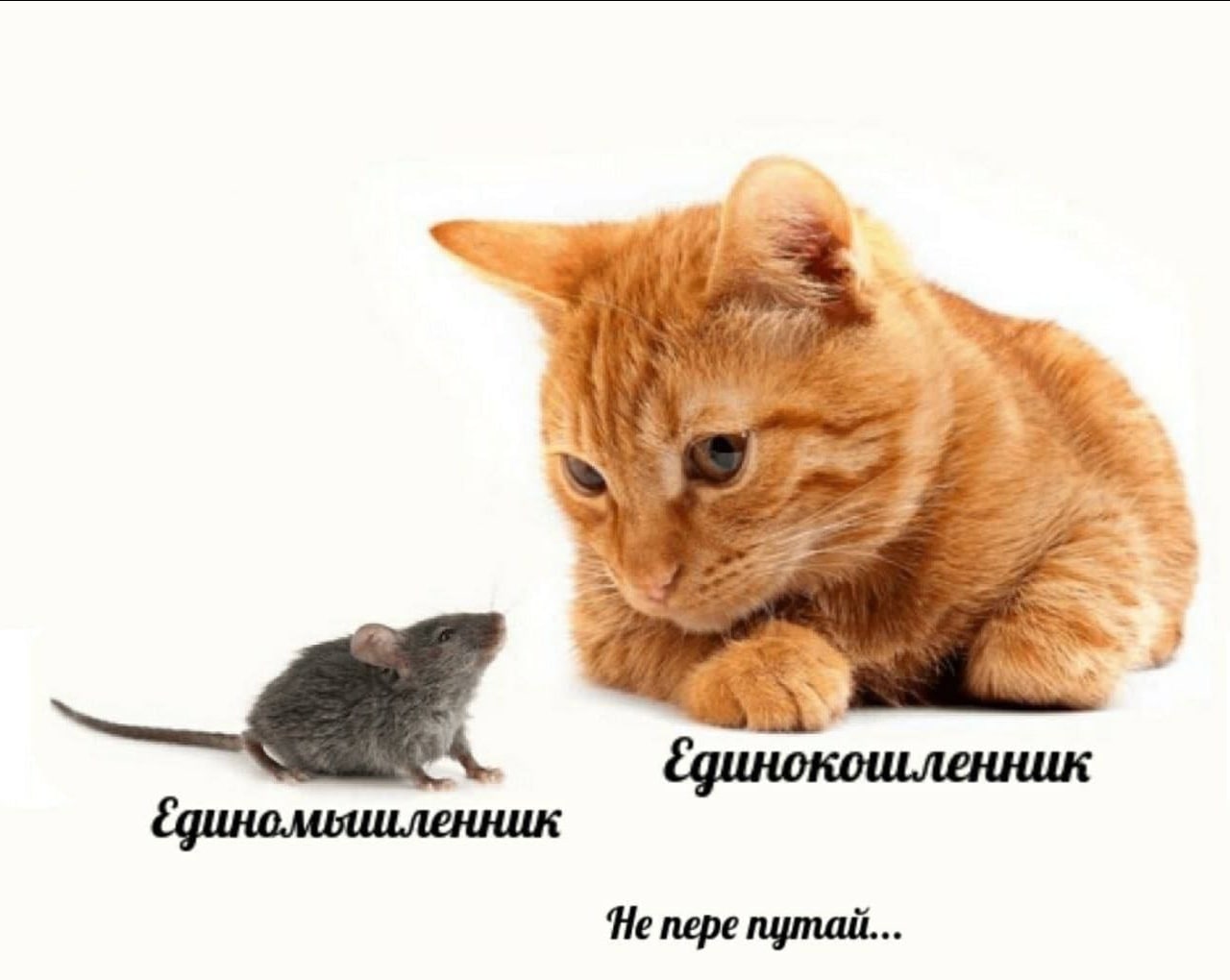 He пере nymaii...