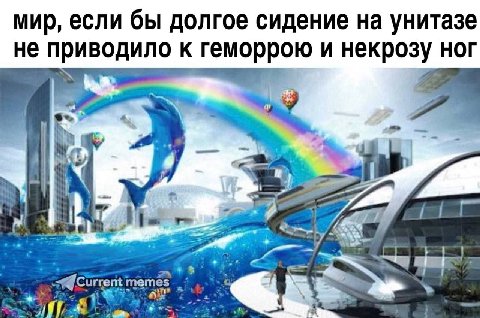 мир, если бы долгое сидение на унитазе не приводило к геморрою и некрозу ног 2 4 к