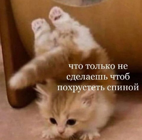 что только не сделаешь чтоб похрустеть спиной