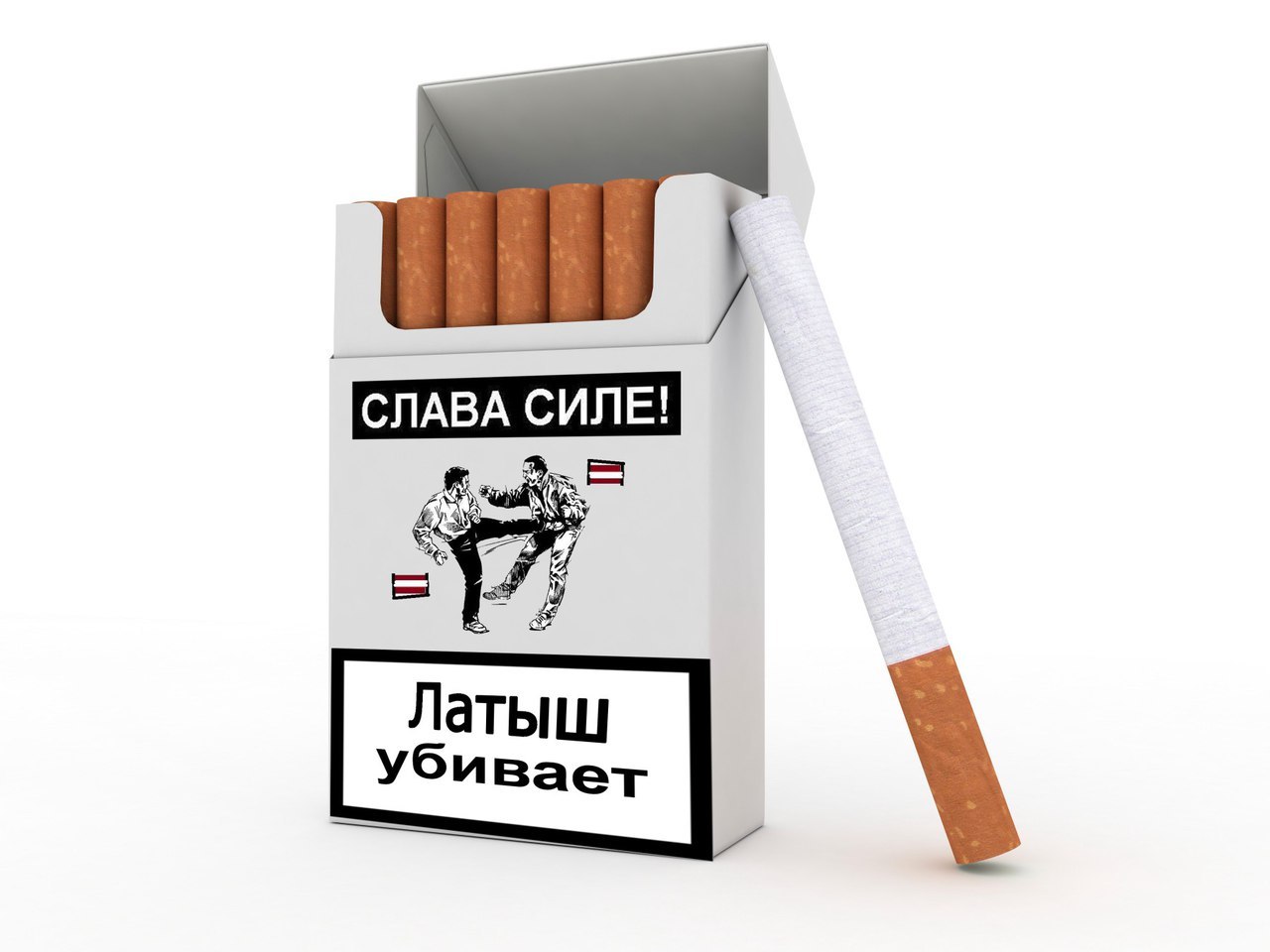 СЛАВА СИЛЕ! Латыш Убивает