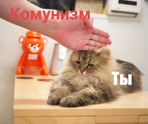 1 у a Ты