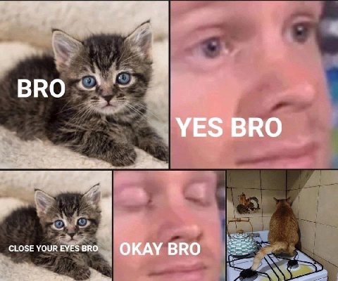 BRO YES BRO CLOSE YOUR EYES BRO OKAY BRO