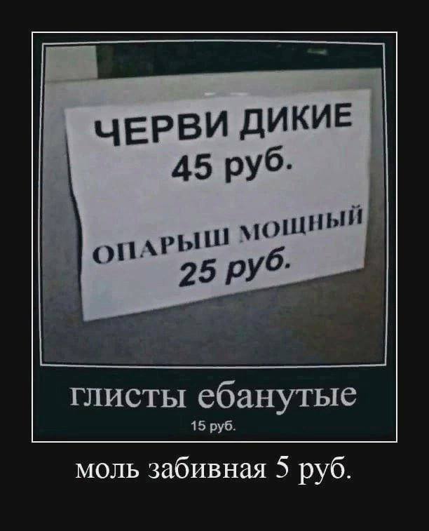 ЧЕРВИ ДИКИЕ 45 руб. АРЫШ 25 руб: глисты ебанутые 15 руб. моль забивная 5 руб.