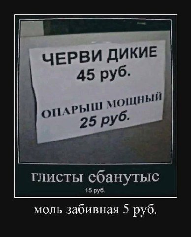 ЧЕРВИ ДИКИЕ 45 руб. АРЫШ 25 руб: глисты ебанутые 15 руб. моль забивная 5 руб.