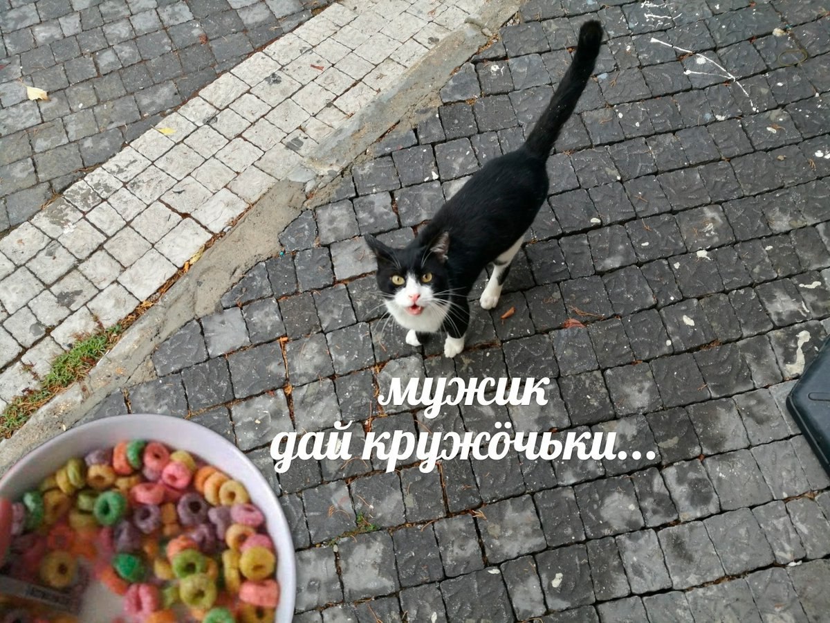 дай кружбчьки