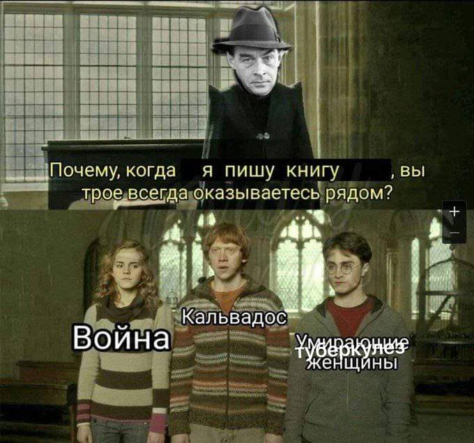 я пишу книгу вы Почему, когда рое всегда оказываетесь рядом? Кальвадос Война