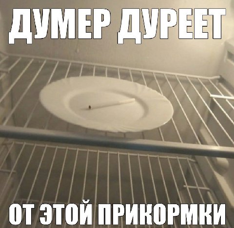 ДУМЕР ОТЭТОЙ ПРИКОРМКИ