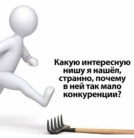 Какую интересную нишуя нашёл, странно, почему в ней так мало конкуренции?