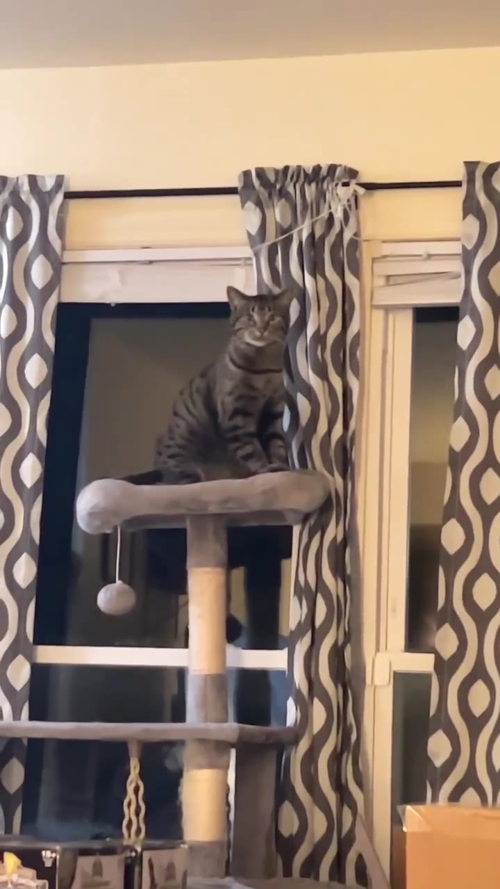 that's how you pay your rent..