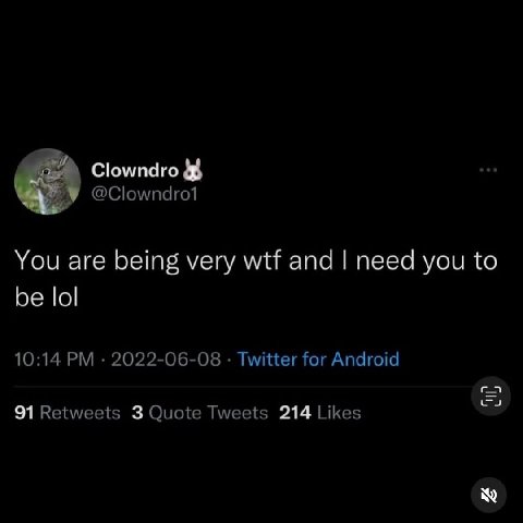 у You are being very wtf and need you to be lol 10:14 2022-06-08 Twitter for Android 91 Retweets 3 Quote Tweets 214 Likes