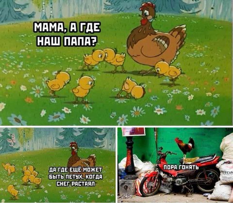 МАМА, А ГДЕ НАШ ПАПА? ДА ГДЕ ЕЩЕ МОЖЕТ БЫТЬ ПЕТУХ, КОГДА СНЕГ РАСТАЯЛ