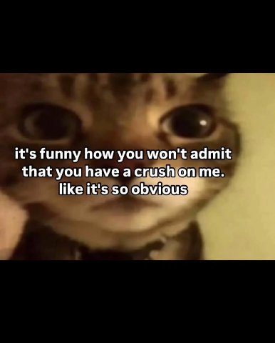 it's funny how you won't admit that you have a ски5 me. like it's so