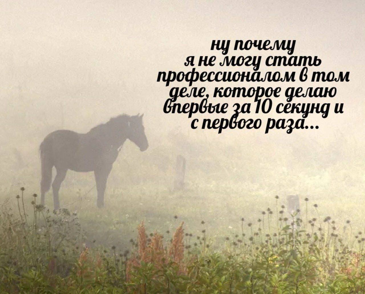 могу стать профессионалом 6 том секунд и первого раза... О 4” у