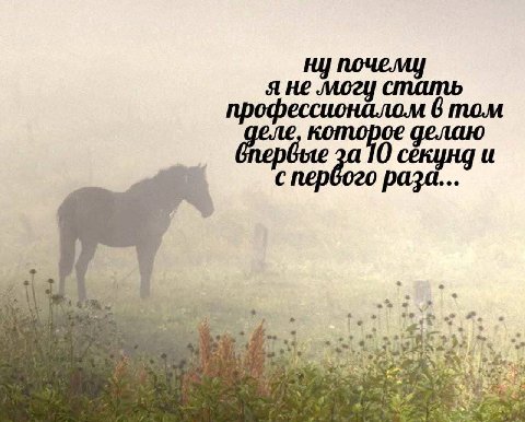могу стать профессионалом 6 том секунд и первого раза... О 4” у
