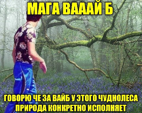 a АГА BAAAK Abe a A ГОВОРЮ ЧЕЗА ВАЙБ у этого ПРИРОДА КОНКРЕТНО ИСПОЛНЯЕТ