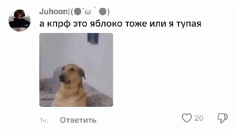 а кпрф это яблоко тоже или я тупая Ответить
