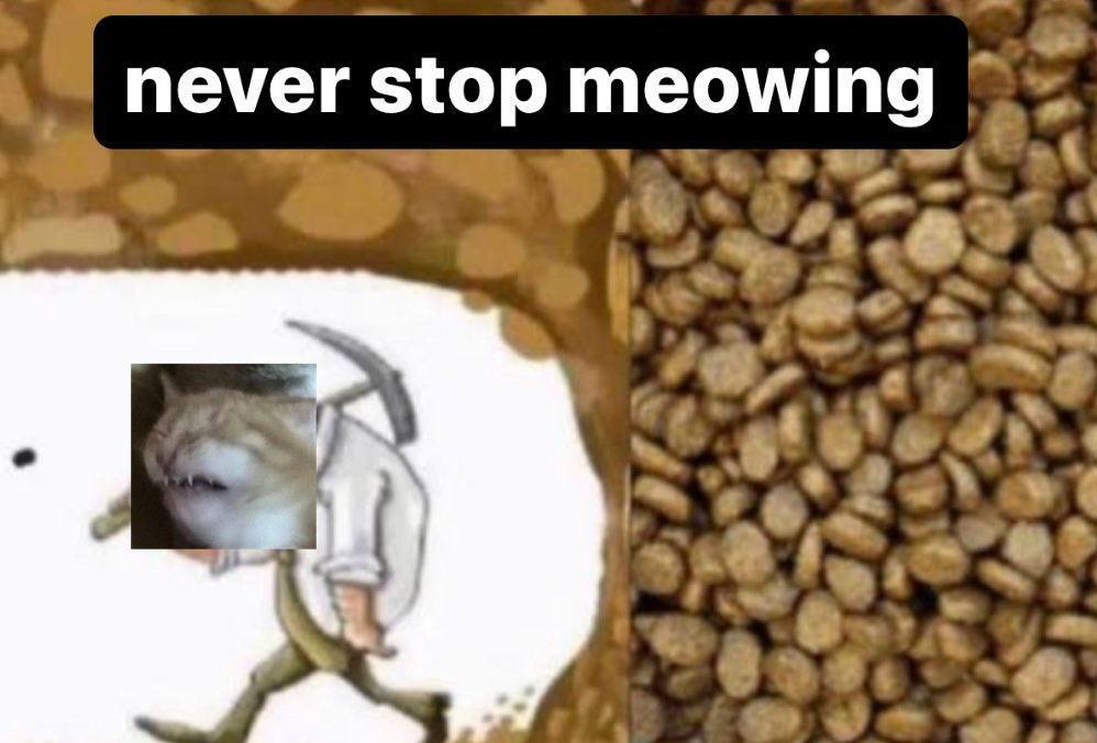 never stop meowing 4 2 а a 4» 4 5 1 к is