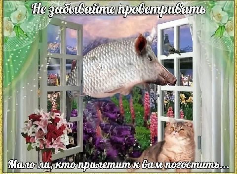 He A у a, В 2 у к Ath у 8 7 4 1, у Mano кто-прилетит к вам погостить...