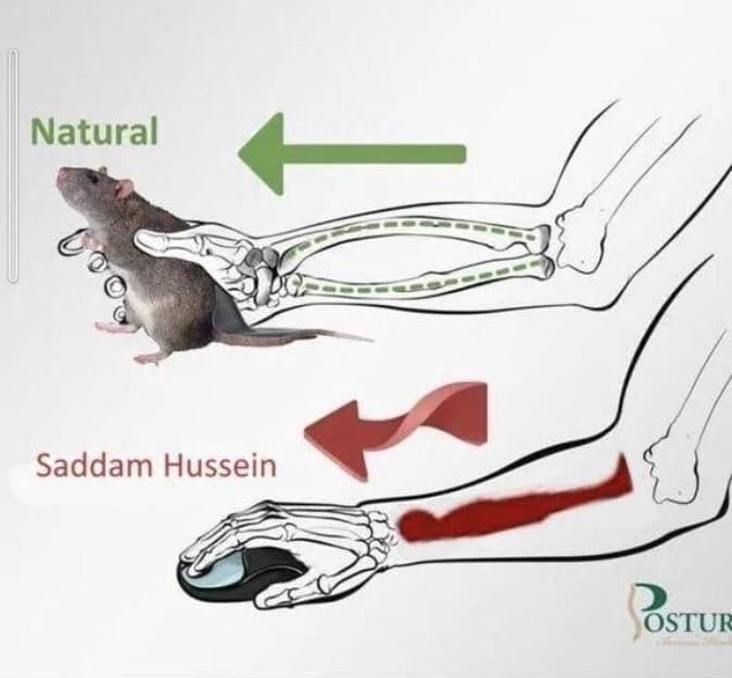 Natural Saddam Hussein 5 a