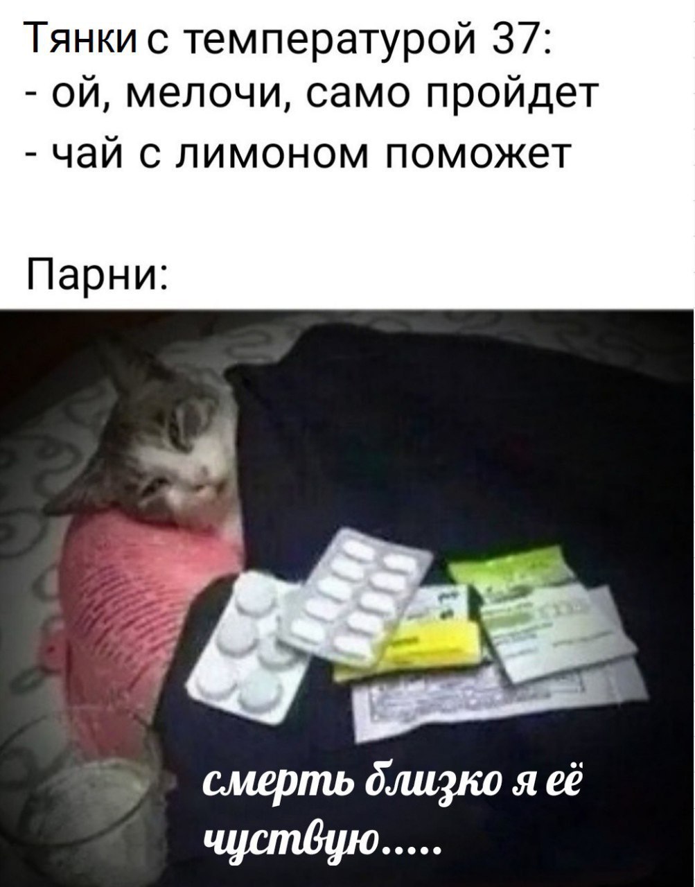 Тянки с температурой 37: мелочи, само пройдет чай с лимоном поможет Парни: смерть близко я её