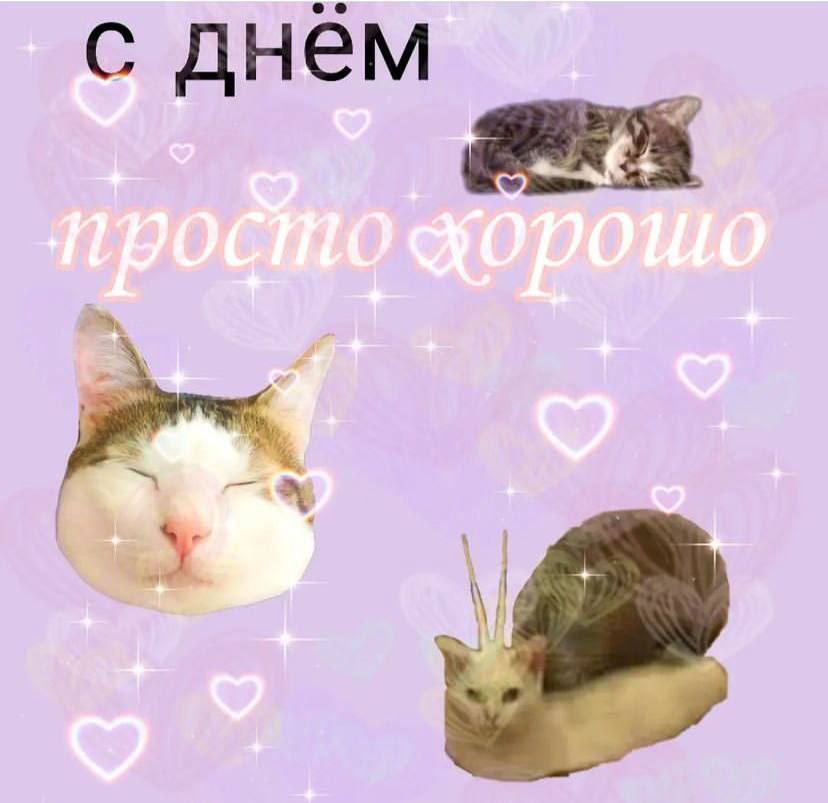 с днем
