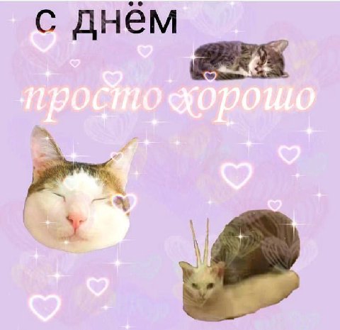 с днем