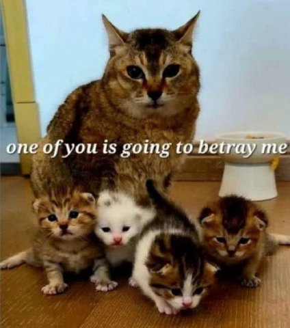one of you is going to me
