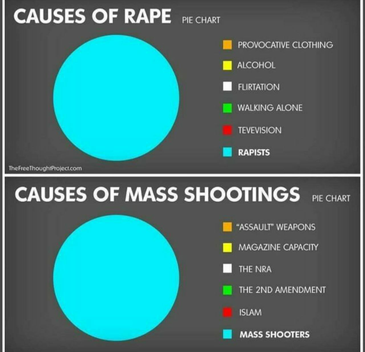 CAUSES OF КАРЕ PROVOCATIVE CLOTHING ALCOHOL ALONE TEVEVISION РАР!5Т5 CAUSES OF MASS SHOOTINGS “ASSAULT” WEAPONS MAGAZINE CAPACITY NRA AMENDMENT ISLAM MASS SHOOTERS