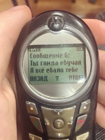 AS 2 6: Ты гнида ебало тебе 3 3 у 4