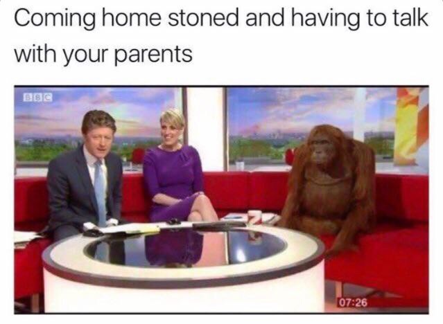 Coming home stoned and having to talk with your parents