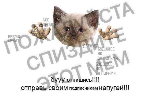 BCE С, eel, 4 A 1% отпр ВОИМ подписчикам напугай!!!