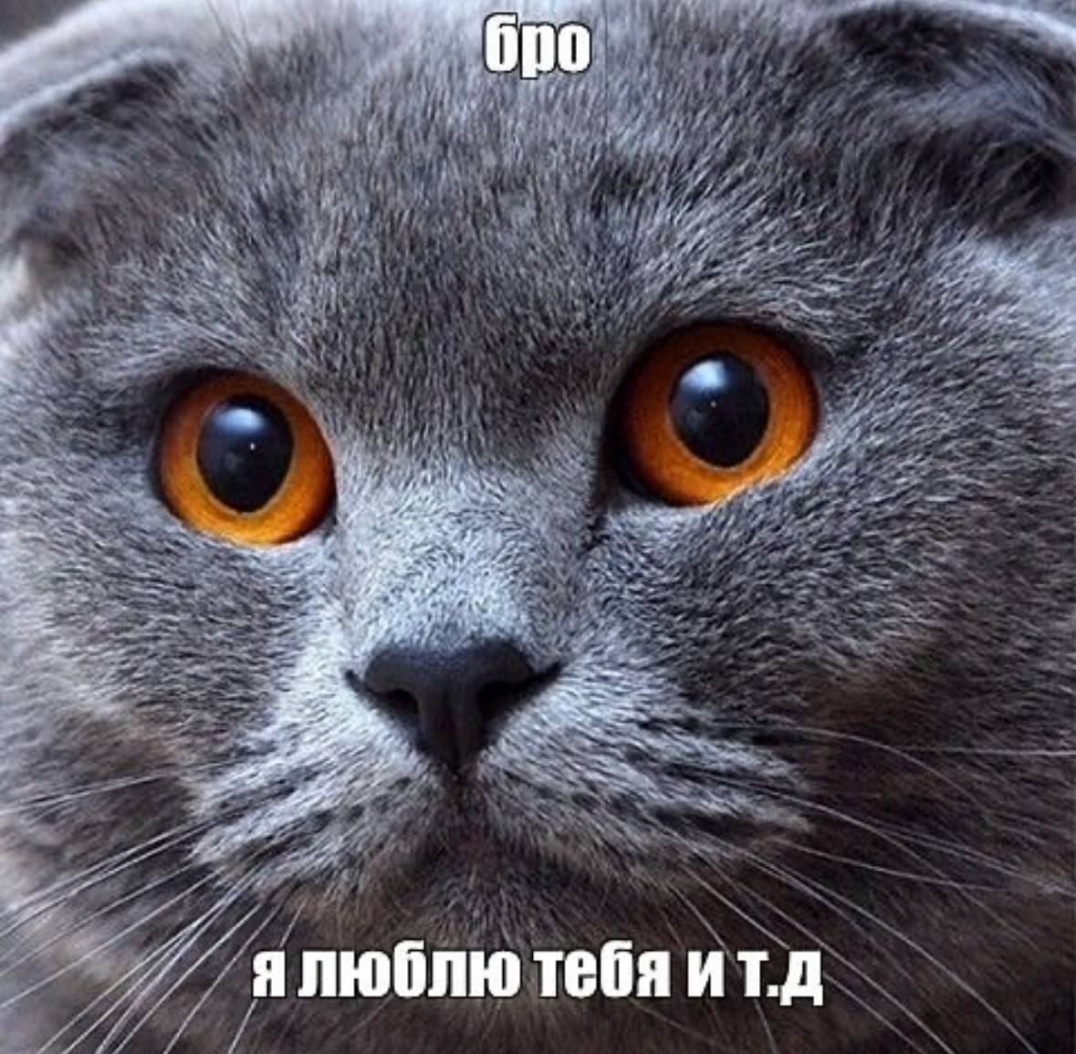 On я ялюблю тебя ит.д