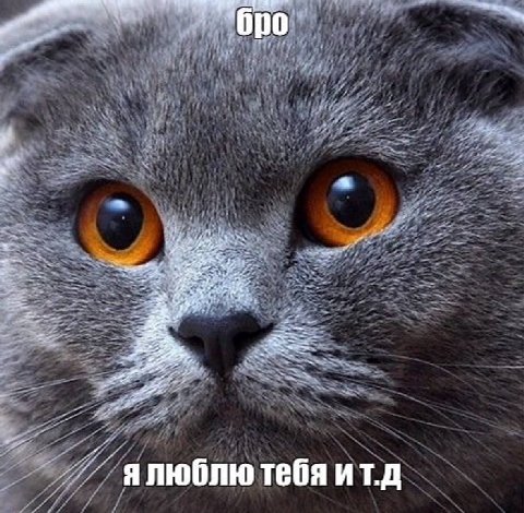 On я ялюблю тебя ит.д